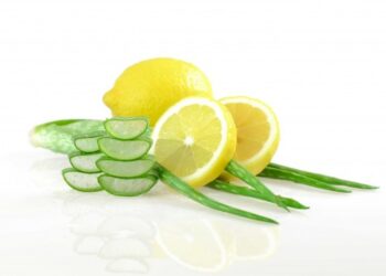 Aloe Vera dhe të mirat e përdorimit të saj kundër kolesterolit dhe yndyrnave