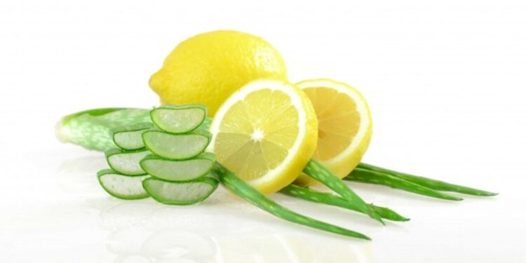 Aloe Vera dhe të mirat e përdorimit të saj kundër kolesterolit dhe yndyrnave