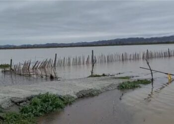 Reshje të dendura/ “Bymehet” Buna, përmbytje në Muriqan dhe Oblikë