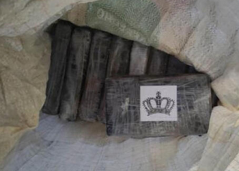 Itali, sekuestrohet 1 ton kokainë në portin e Savonës, porositës dhe pritës së “pakos” 5 shqiptarë