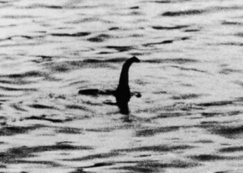 Cilët janë përbinëshat e ‘famshëm’, që vazhdojnë të jenë në kërkim sot e kësaj dite