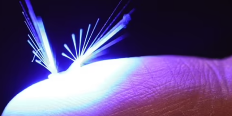 Shkencëtarët zhvillojnë një robot të frymëzuar nga zanat, mund të fluturojë me anë të fuqisë së dritës