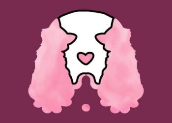 Mace apo qen? Imazhi që shikoni të parin tregon shumë për personalitetin tuaj