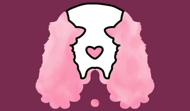 Mace apo qen? Imazhi që shikoni të parin tregon shumë për personalitetin tuaj