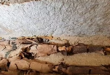 Mumja egjiptiane 4300-vjeçare e mbështjellë me ar mendohet të jetë më e vjetra në botë