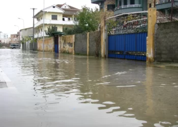 Prej 3 ditësh të përmbytur, banorët e Lezhës të shqetësuar: 5 dylym toke ullinj nën ujë, duhet ndërhyrje reale, jo sipërfaqësore