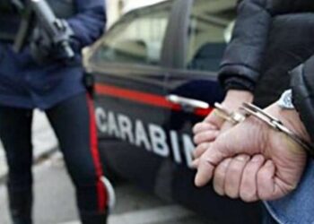 Mbanin të fshehur sasi të konsiderueshme droge në hotel, ja si ranë në pranga 4 shqiptarët në Itali