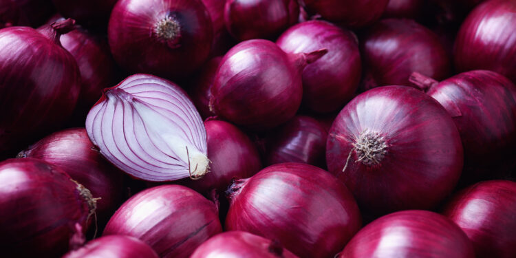 Paradoksi/ Në Shqipëri fermerët ‘detyrohen’ të hedhin me tonelata, ja vendi ku qepa është luks