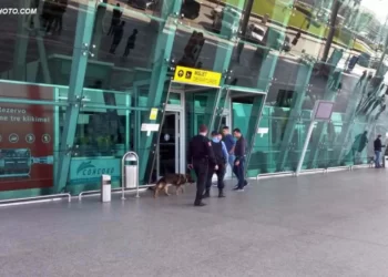 “Ngec” në Rinas/ Nuk deklaron mbi 12 mijë euro në kufi, arrestohet 45-vjeçari nga Turqia