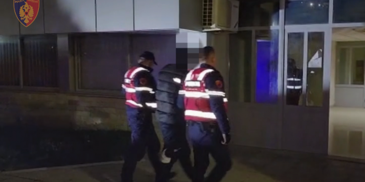 Transportonte 8 emigrantë ilegal kundrejt fitimit, kapet në flagrancë 33- vjeçari në Tepelenë