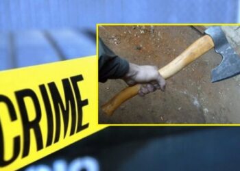 Tentoi të vras me sëpatë 73-vjeçarin, arrestohet autori i dyshuar në Korçë