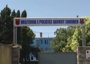 Daja plagosi me thikë nipin në Shkodër, dëshmia: Më ngacmonte gruan. 47- vjeçari në gjendje të rëndë