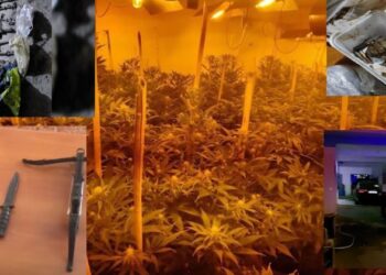 Si u “zbulua shtëpia e barit” në Shijak, zbardhen detajet e para