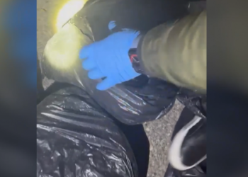 Bagazhin kapicë me drogë, arrestohen në Kamëz dy persona, sekuestrohen 8 kg kanabis