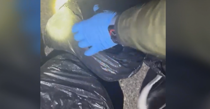 Bagazhin kapicë me drogë, arrestohen në Kamëz dy persona, sekuestrohen 8 kg kanabis