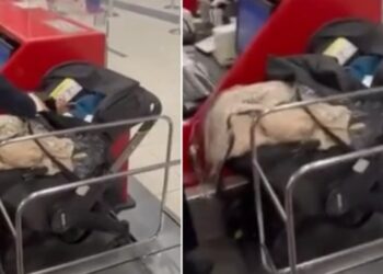 Shokuese/ Nuk iu mjaftonin paratë për t’i blerë biletën, çifti braktis foshnjën në aeroport