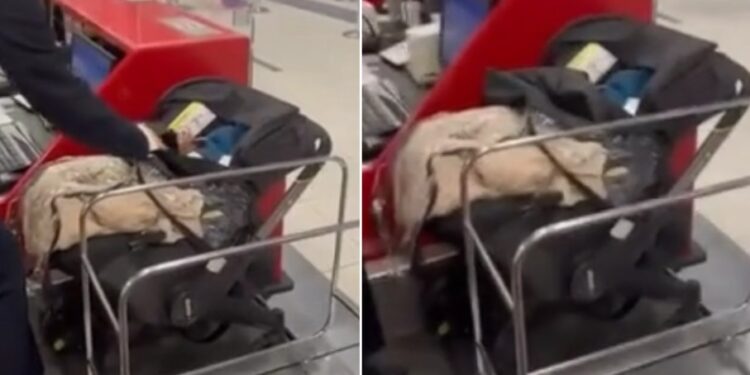 Shokuese/ Nuk iu mjaftonin paratë për t’i blerë biletën, çifti braktis foshnjën në aeroport
