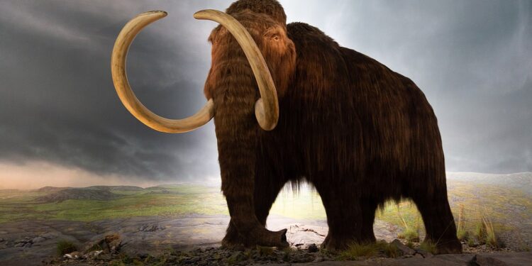Një kompani e krijuar vetëm për një mision, atë të ringjalljes së mamuthëve