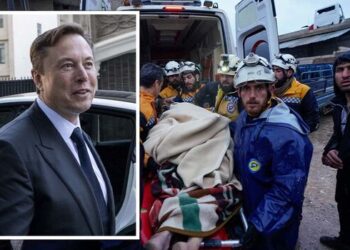 Elon Musk propozon ndihmën e SpaceX Starlink për kërkimet me satelitë, Turqia e refuzon