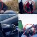 Priste radhën në kufi, pedagogu Petraq Milo dhunohet nga policia në Mal të Zi