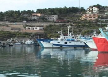 Punonjësit e Portit të Shëngjinit sërish në protestë, i bashkohet dhe kreu i Konfederatës së Sindikatës së Shqipërisë