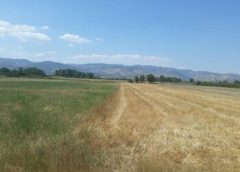 Fshati Qatrom në Korçë braktiset nga banorët: Fajet i kanë të dyja palët, të të ikë evladi…