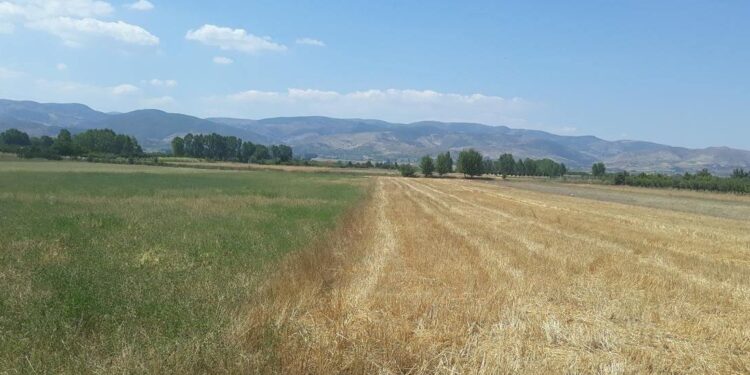 Fshati Qatrom në Korçë braktiset nga banorët: Fajet i kanë të dyja palët, të të ikë evladi…