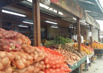 Mungesa e prodhimit vendas, dyfishohet çmimi i qepës