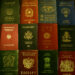 Passport Index – Serbia pasaporta më e fuqishme në rajon. Ja renditja e Shqipërisë dhe Kosovës