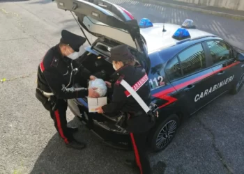 Nga sportist në shpërndarës droge, ish-lojtari i Romës arrestohet nga policia