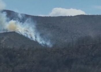 Zjarr i qëllimshëm në Zërvaskë të Pogradecit, digjen 2 hektarë tokë në masivin pyjor të fshatit
