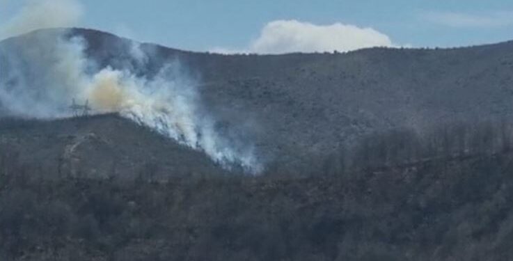 Zjarr i qëllimshëm në Zërvaskë të Pogradecit, digjen 2 hektarë tokë në masivin pyjor të fshatit