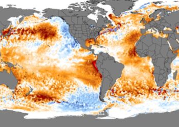 Habisin studiuesit: Temperatura e oqeaneve në botë, më e larta në histori