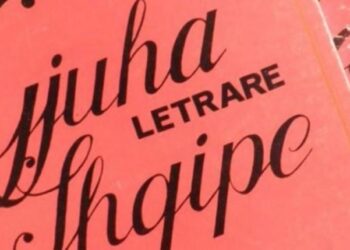 Gjoba për gabimet gjuhësore, Shqipëria kopjon shtetin fqinj