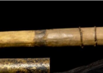 Njihuni me artistin që krijoi flautin më të gjatë në botë