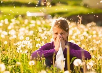 Ja disa nga bimët që shkaktojnë alergji