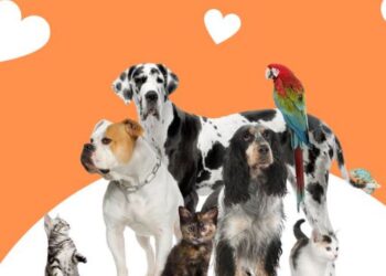 11-Prilli dita botërore e miqëve tanë katërputroshë shtëpiakë