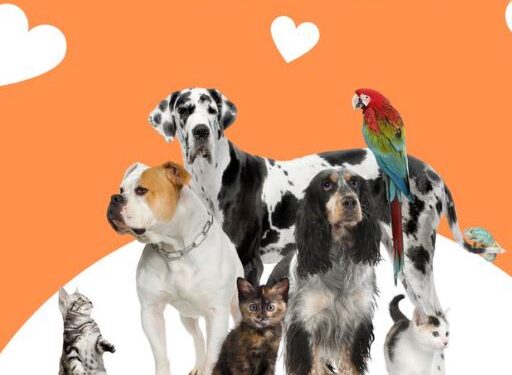 11-Prilli dita botërore e miqëve tanë katërputroshë shtëpiakë