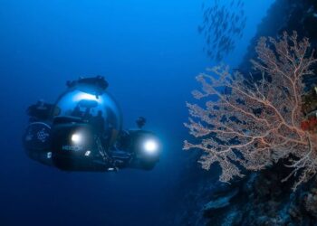 Studiuesit marrin iniciativën, për regjistrimin dhe zbulimin e botës nën ujore