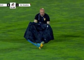 “ Një mik i pa ftuar “ në fushën e blertë, ndërpret ndeshjen në Portugali