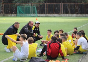 Goditja e trajnerit të ekipit sportiv “Labëria” nga persona me precedentë penalë