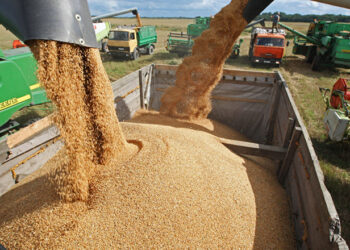 Cili do jetë vendi që do të shërbejë tranzit për grurin nga Ukraina pas bisedimeve me ministrin Solskyi