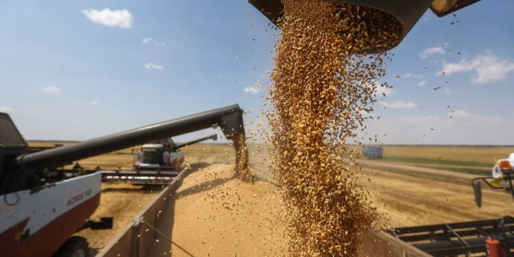 Po shtohen vendet që ndalojnë importet nga Ukraina