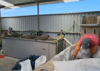 Sakrifica e emigrantëve për ndërtimin e biznesit të riciklimit të plastmasit për bujqësinë në Roskovec