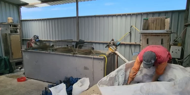Sakrifica e emigrantëve për ndërtimin e biznesit të riciklimit të plastmasit për bujqësinë në Roskovec
