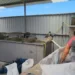 Sakrifica e emigrantëve për ndërtimin e biznesit të riciklimit të plastmasit për bujqësinë në Roskovec