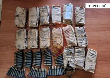 Tepelenë – Bie në prangat e policisë 39-vjeçari posedues i një kasete metalike me 540 fishekë luftarak