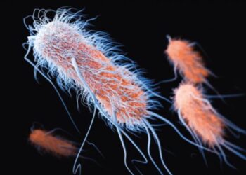 Kërcënim për njerëzimin? Inteligjenca Artificiale krijon antibiotikun e ri