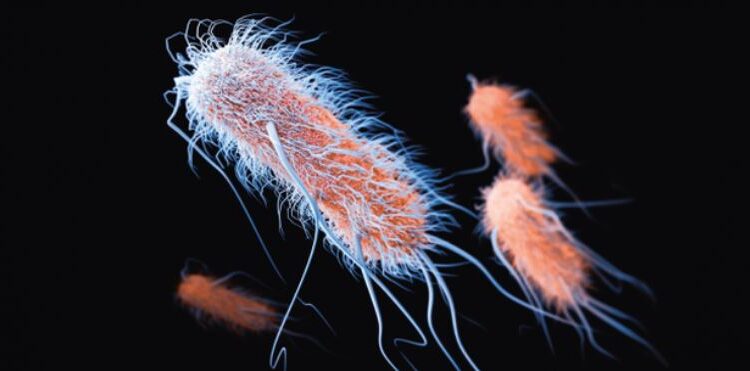 Kërcënim për njerëzimin? Inteligjenca Artificiale krijon antibiotikun e ri