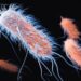 Kërcënim për njerëzimin? Inteligjenca Artificiale krijon antibiotikun e ri